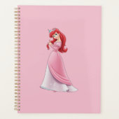 Ariel Planer (Vorderseite)