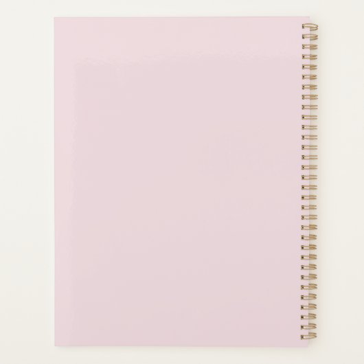 Ariel Planer (Rückseite)