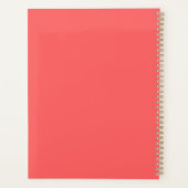 Ariel Planer (Rückseite)