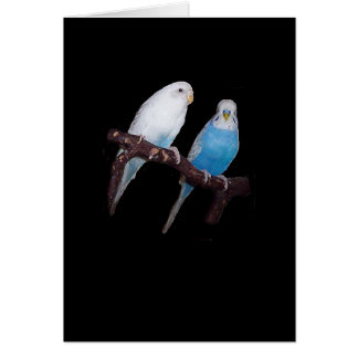 Ariel und Oscar budgie Karte