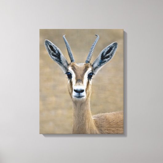 Ariel Wrapped Canvas Print Leinwanddruck (Vorderseite)