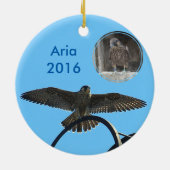 Arien-Verzierung 2016 Keramikornament (Hinten)