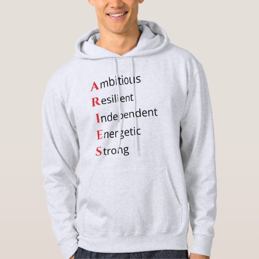 Aries Akronym Hoodie (Vorderseite)