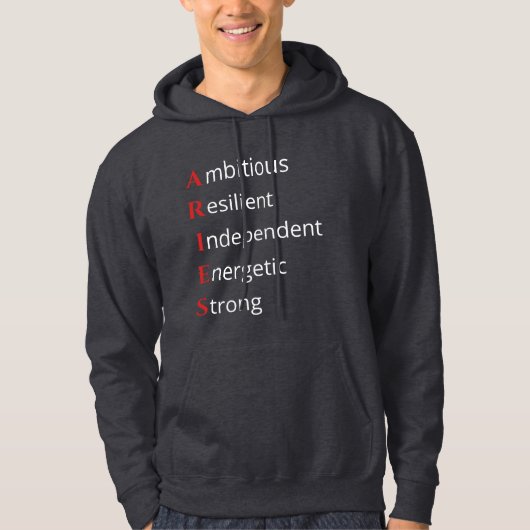 Aries Akronym Hoodie (Vorderseite)