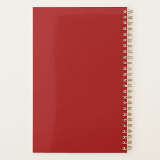 Aries Astrologie Planer (Rückseite)