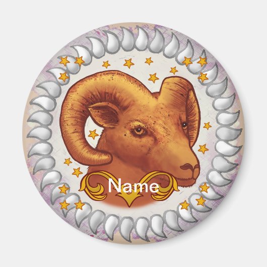 Aries Birthday-Magnet Magnet (Vorne)