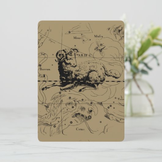 Aries Constellation Map Gravur von Hevelius (Stehend Vorderseite)