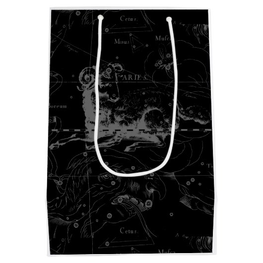 Aries Constellation Map Gravur von Hevelius Mittlere Geschenktüte (Rückseite)