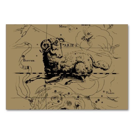 Aries Constellation Map Hevelius circa 1690 Tischnummer (Vorderseite)