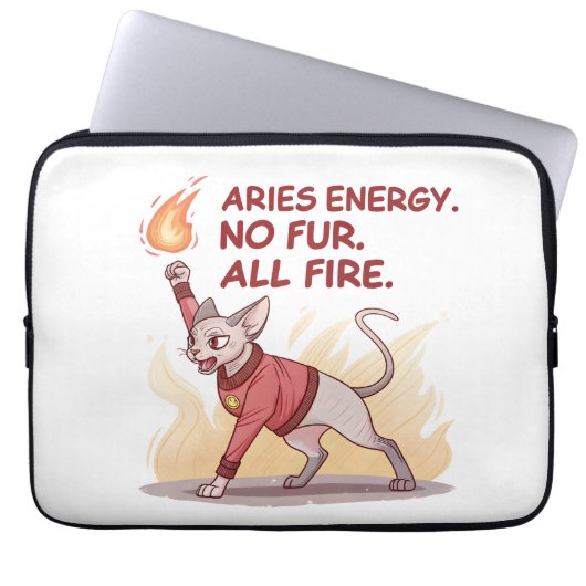 Aries Energy Sphynx Cat No Fur All Fire Art Laptopschutzhülle (Vorderseite)