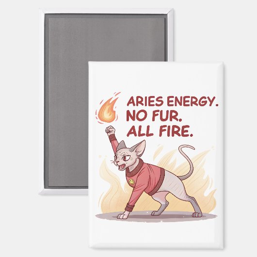 Aries Energy Sphynx Cat No Fur All Fire Art Magnet (Vorderseite/Rückseite)