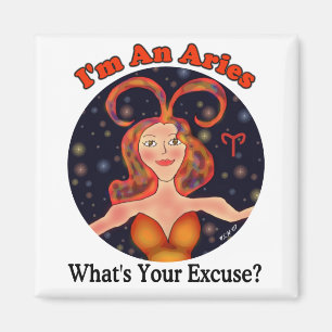 Aries EntschulMagnet Magnet