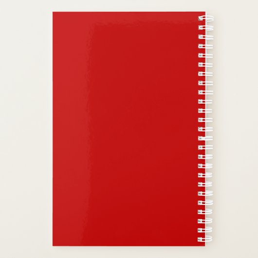 Aries Horoskop Planer (Rückseite)