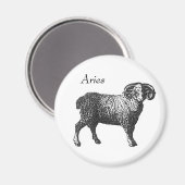 Aries Magnet (Vorderseite/Rückseite)