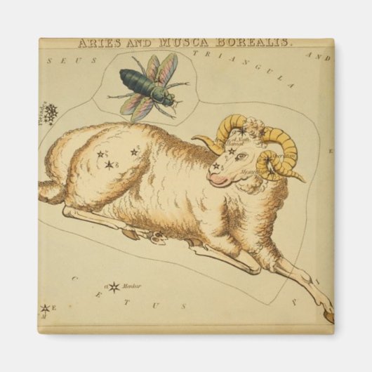 Aries Magnet (Vorne)