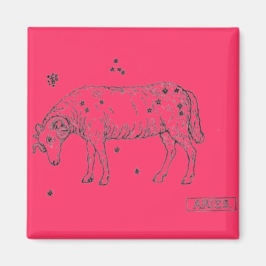 Aries Magnet (Vorne)