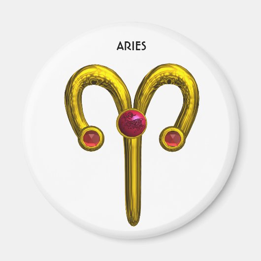 ARIES MAGNET (Vorne)