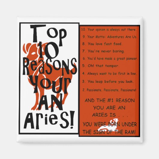 Aries Magnet (Vorne)