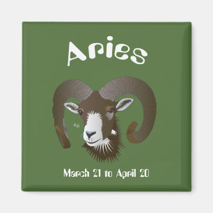 Äries März 21 bis 20. April Magnet