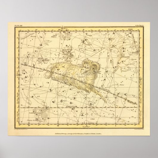 Aries, Musca Borealis Poster (Vorne)