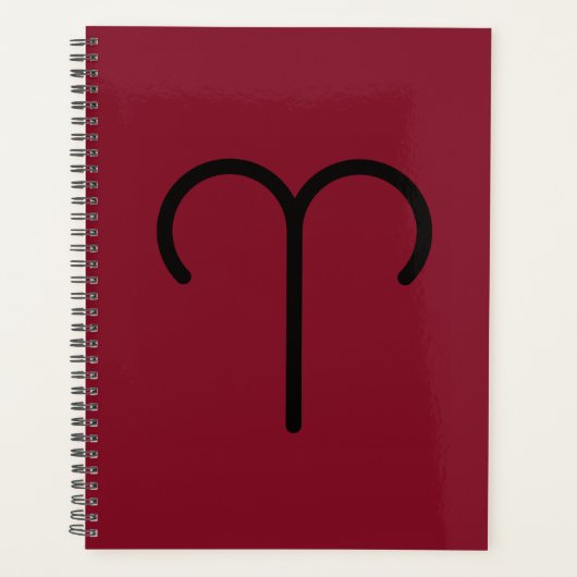 Aries Planner Planer (Vorderseite)