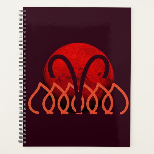 Aries Planner Planer (Vorderseite)