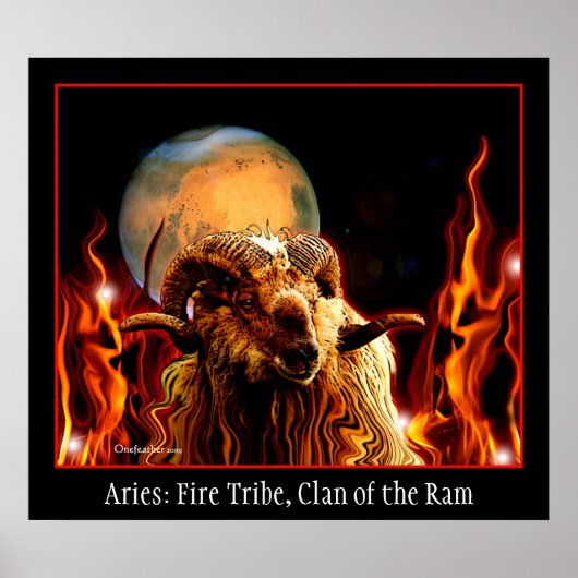 Aries Poster (Vorne)