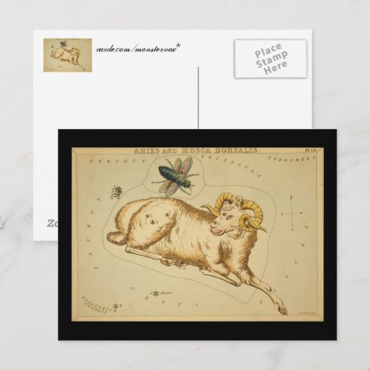 Aries Postkarte (Vorne/Hinten)