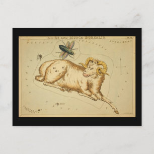 Aries Postkarte