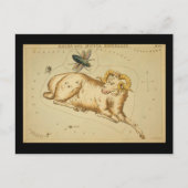 Aries Postkarte (Vorderseite)