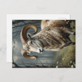 Aries Postkarte (Vorne/Hinten)