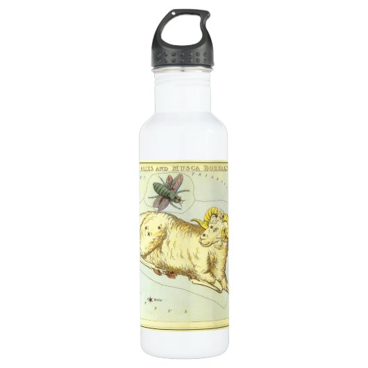 Aries Ram, Vintage Konstellation, Urania-Spiegel Trinkflasche (Vorderseite)