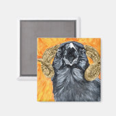 Aries Raven Aqucolor Magnet (Vorderseite/Rückseite)