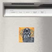 Aries Raven Aqucolor Magnet (In Situ (Geschirrspüler))