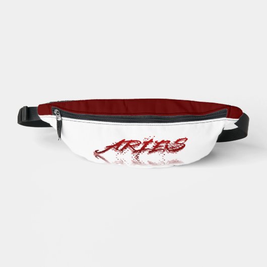 Aries Reflection Bauchtasche (Vorderseite)