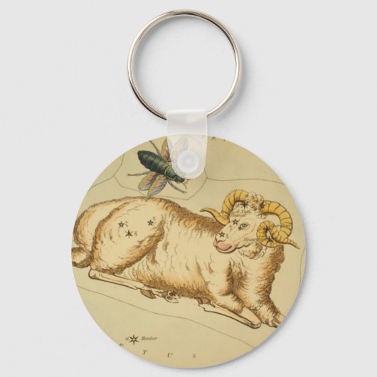 Aries Schlüsselanhänger (Vorderseite)