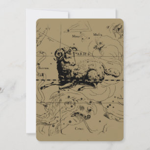 Aries-Sternbildkarte Gravur von Hevelius