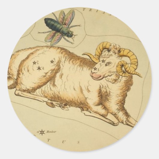 Aries Sticker (Vorderseite)