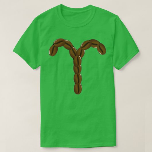 Aries T-Shirt (Design vorne)