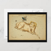 Aries und Musca Borealis Postkarte (Vorne/Hinten)
