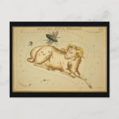 Aries und Musca Borealis Postkarte (Vorderseite)