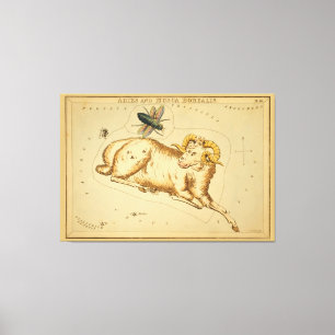 Äries und Musca - Vintages Zeichen des Zodiac-Bild Leinwanddruck