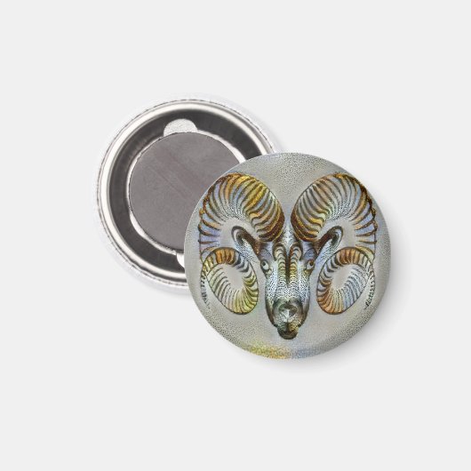 Aries Venice Magnet (Vorderseite/Rückseite)