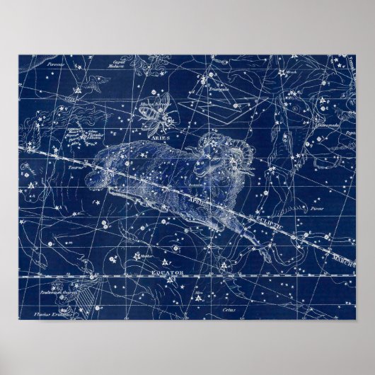 Aries Zodiac Sign Vintag Illustration Poster (Vorne)