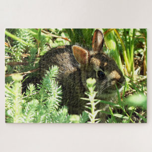 Arisdale Arts: Junge Kaninchen im Gras Puzzle