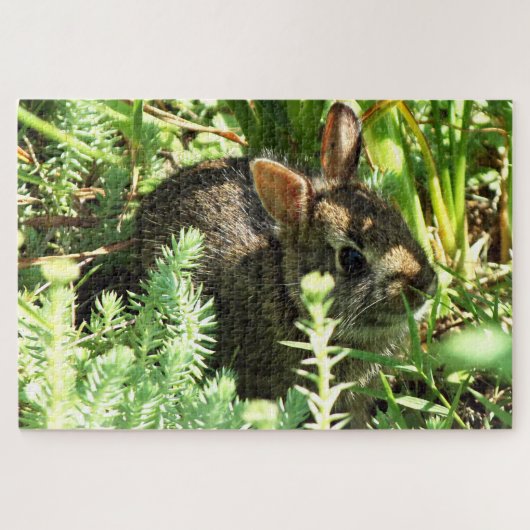 Arisdale Arts: Junge Kaninchen im Gras Puzzle (Horizontal)