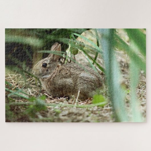 Arisdale Arts: Junge Kaninchen Puzzle (Horizontal)