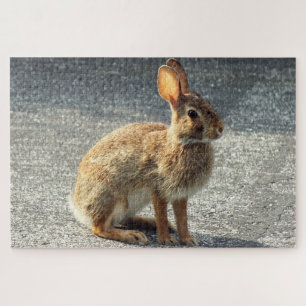 Arisdale Arts: Wildes Kaninchen auf der Einfahrt Puzzle