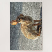 Arisdale Arts: Wildes Kaninchen auf der Einfahrt Puzzle (Vertikal)