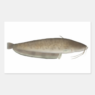 Aristoteles-Fisch Rechteckiger Aufkleber